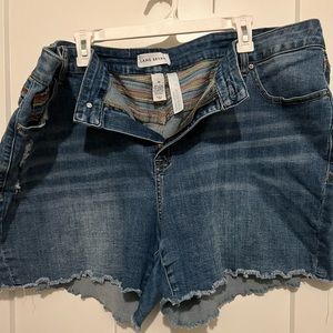 Lane Bryant Shorts 22